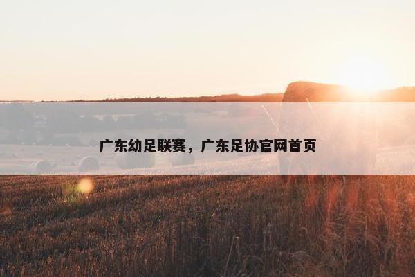 广东幼足联赛，广东足协官网首页
