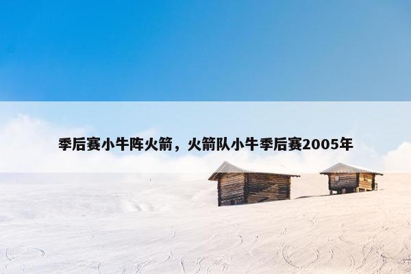 季后赛小牛阵火箭，火箭队小牛季后赛2005年