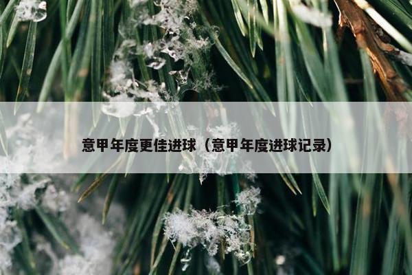 意甲年度更佳进球（意甲年度进球记录）