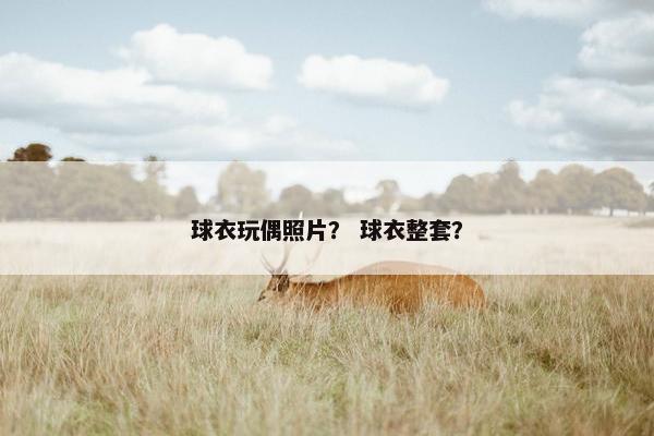 球衣玩偶照片？ 球衣整套？
