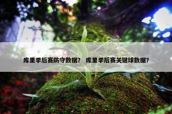 库里季后赛防守数据？ 库里季后赛关键球数据？