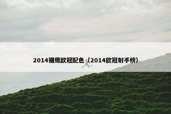 2014猎鹰欧冠配色（2014欧冠射手榜）