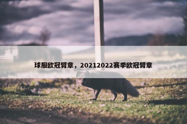 球服欧冠臂章，20212022赛季欧冠臂章