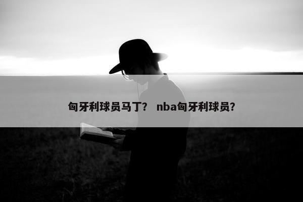 匈牙利球员马丁？ nba匈牙利球员？