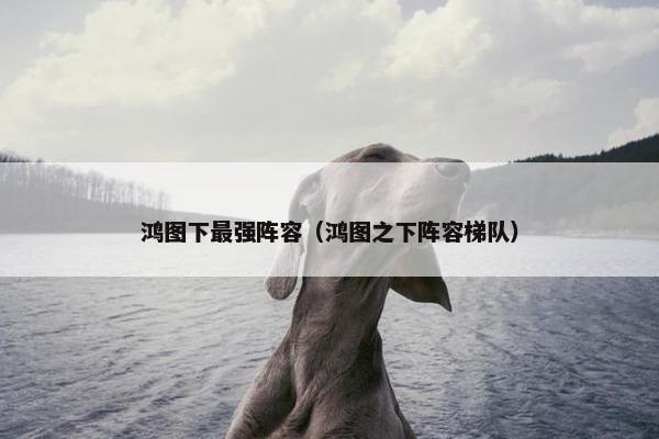 鸿图下最强阵容（鸿图之下阵容梯队）