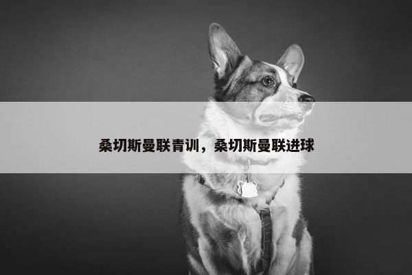 桑切斯曼联青训，桑切斯曼联进球