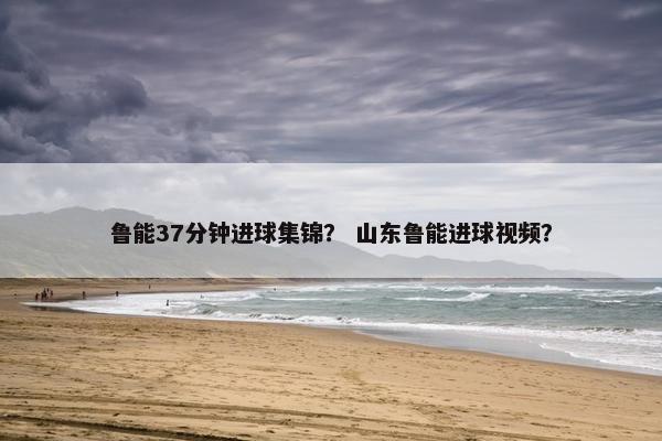 鲁能37分钟进球集锦？ 山东鲁能进球视频？