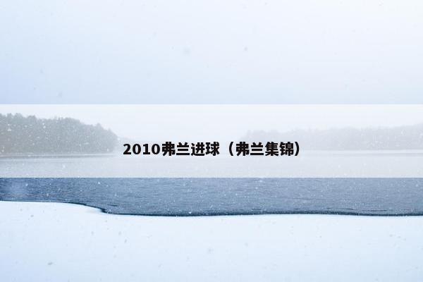 2010弗兰进球（弗兰集锦）