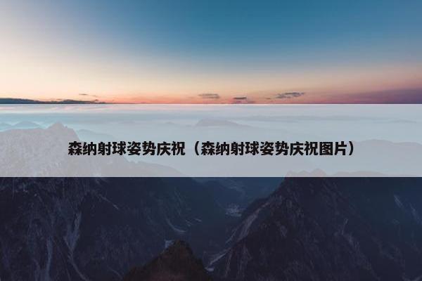 森纳射球姿势庆祝（森纳射球姿势庆祝图片）