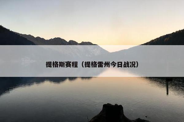 提格斯赛程（提格雷州今日战况）