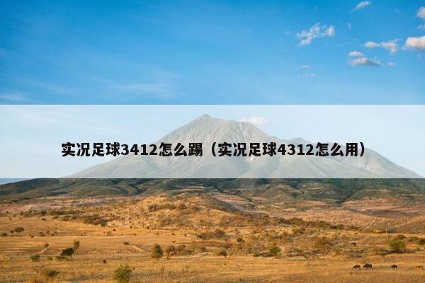 实况足球3412怎么踢（实况足球4312怎么用）