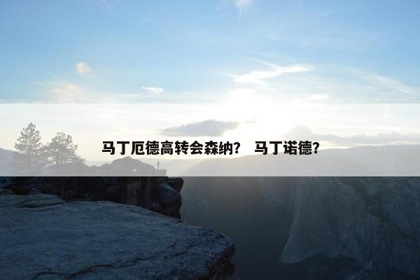 马丁厄德高转会森纳？ 马丁诺德？