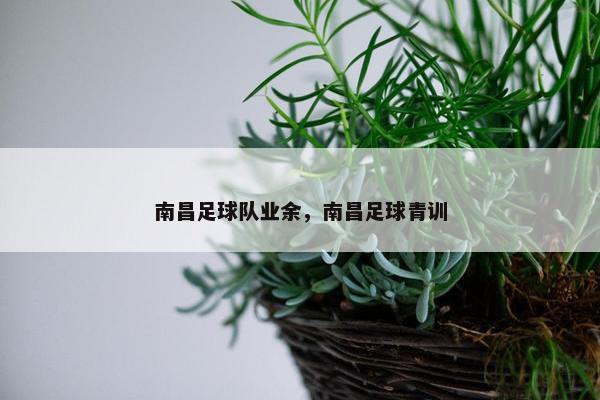 南昌足球队业余，南昌足球青训
