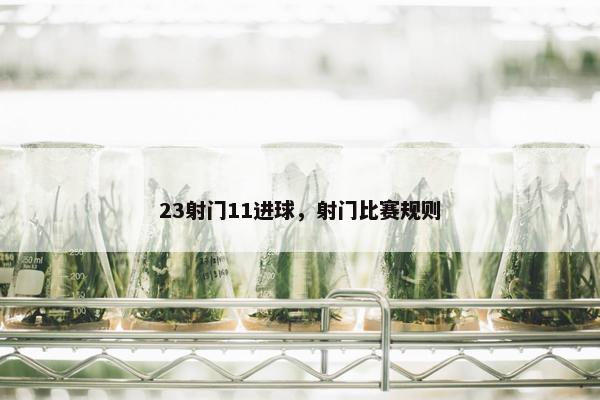 23射门11进球，射门比赛规则