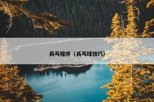 兵乓程序（兵乓球技巧）