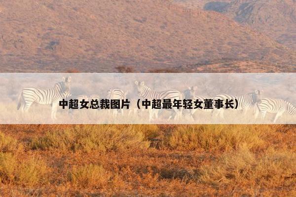 中超女总裁图片（中超最年轻女董事长）