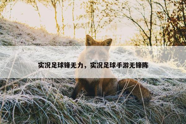 实况足球锋无力，实况足球手游无锋阵