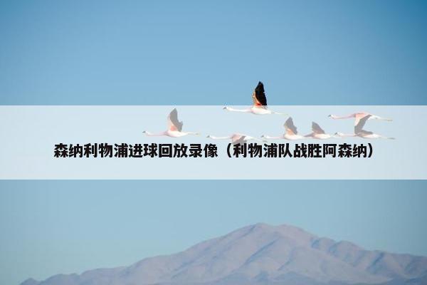 森纳利物浦进球回放录像（利物浦队战胜阿森纳）