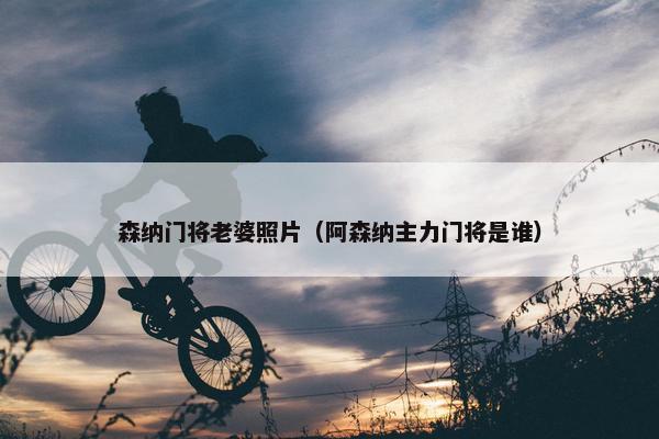 森纳门将老婆照片（阿森纳主力门将是谁）