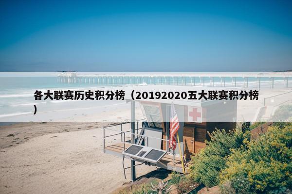 各大联赛历史积分榜（20192020五大联赛积分榜）