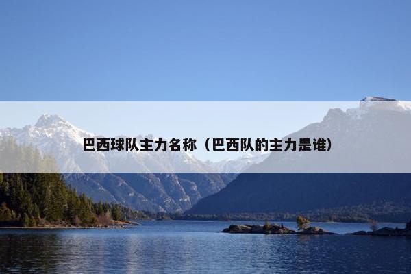 巴西球队主力名称（巴西队的主力是谁）