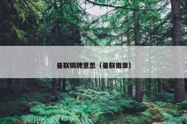 曼联铜牌意思（曼联徽章）