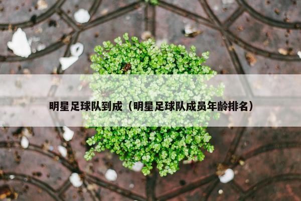 明星足球队到成（明星足球队成员年龄排名）