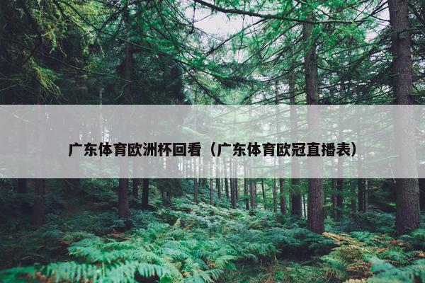 广东体育欧洲杯回看（广东体育欧冠直播表）
