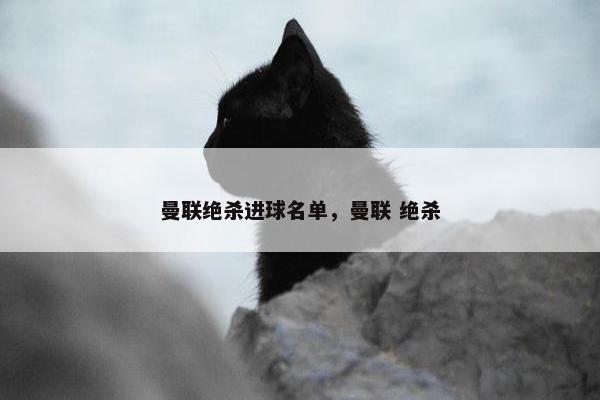 曼联绝杀进球名单，曼联 绝杀