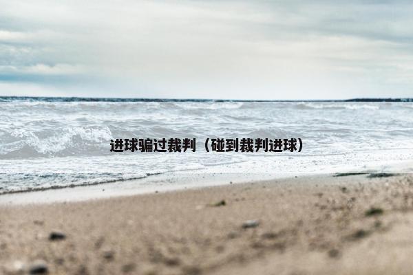 进球骗过裁判（碰到裁判进球）