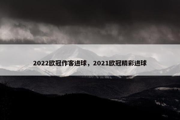 2022欧冠作客进球，2021欧冠精彩进球
