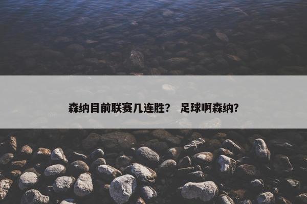 森纳目前联赛几连胜？ 足球啊森纳？