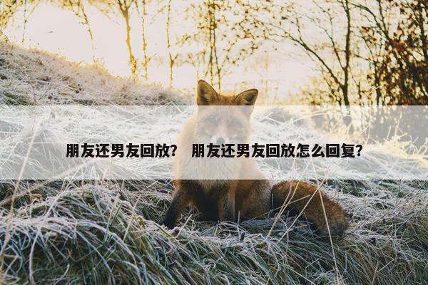 朋友还男友回放？ 朋友还男友回放怎么回复？