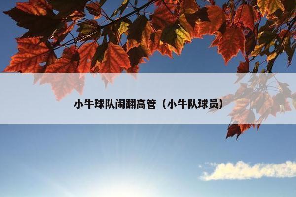 小牛球队闹翻高管（小牛队球员）