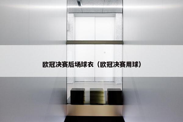 欧冠决赛后场球衣（欧冠决赛用球）