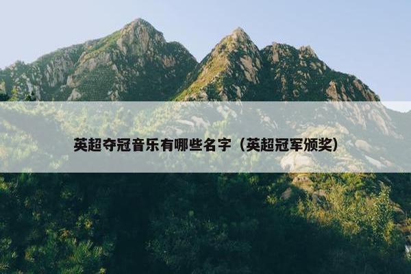英超夺冠音乐有哪些名字（英超冠军颁奖）