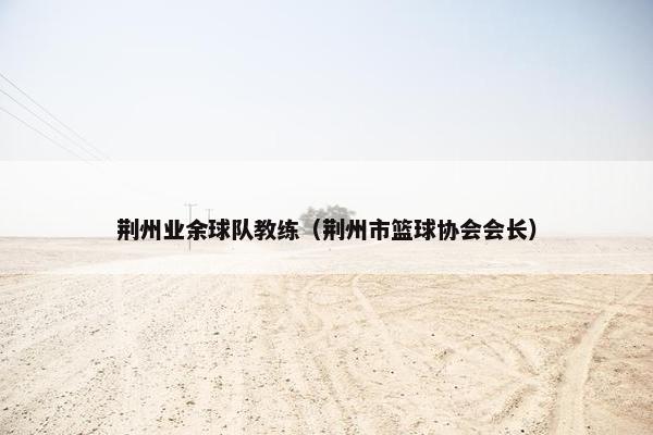 荆州业余球队教练（荆州市篮球协会会长）