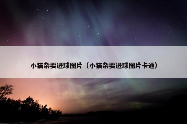 小猫杂耍进球图片（小猫杂耍进球图片卡通）