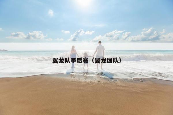 翼龙队季后赛（翼龙团队）