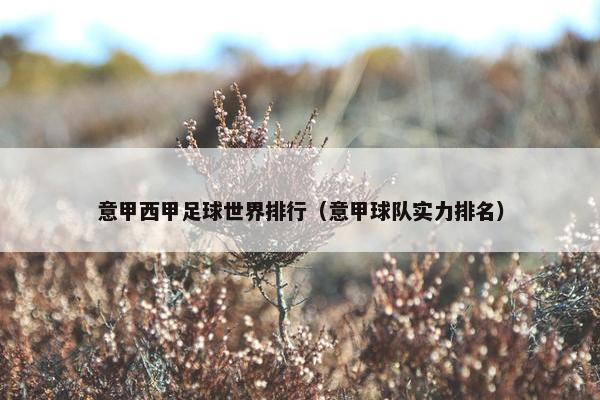 意甲西甲足球世界排行（意甲球队实力排名）