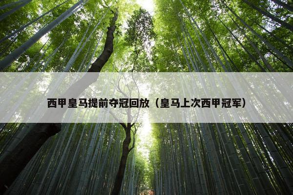 西甲皇马提前夺冠回放（皇马上次西甲冠军）