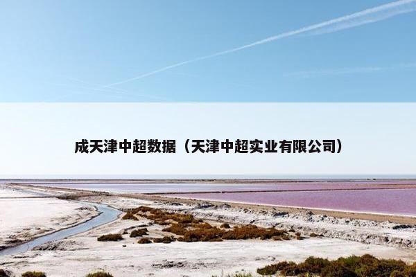 成天津中超数据（天津中超实业有限公司）