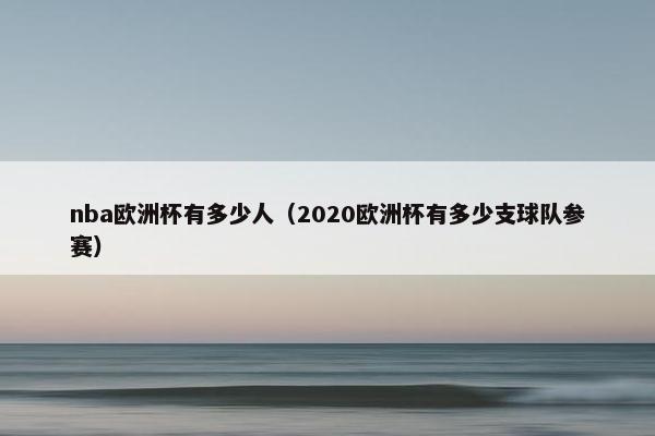 nba欧洲杯有多少人（2020欧洲杯有多少支球队参赛）