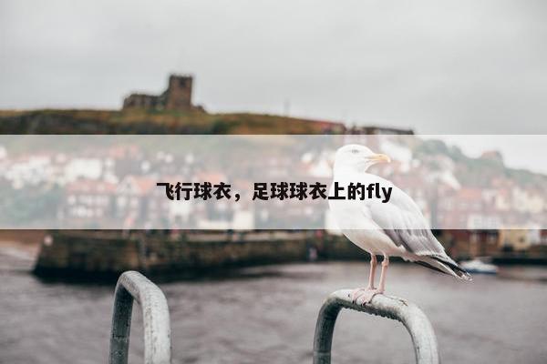 飞行球衣，足球球衣上的fly