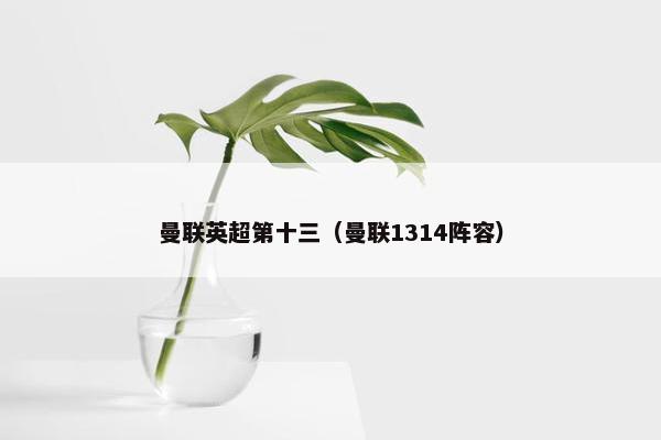曼联英超第十三（曼联1314阵容）