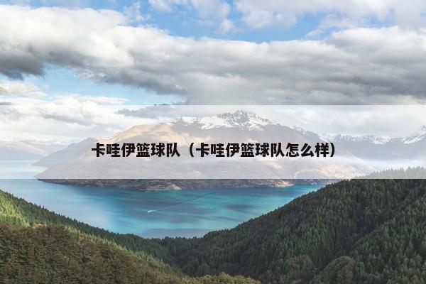 卡哇伊篮球队（卡哇伊篮球队怎么样）
