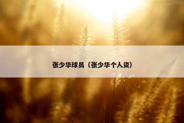 张少华球员（张少华个人资）