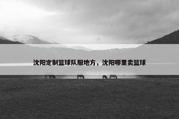 沈阳定制篮球队服地方，沈阳哪里卖篮球