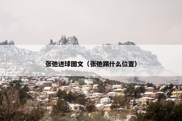 张弛进球图文（张弛踢什么位置）