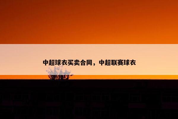 中超球衣买卖合同，中超联赛球衣